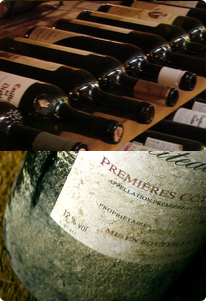 Viti Vini Service